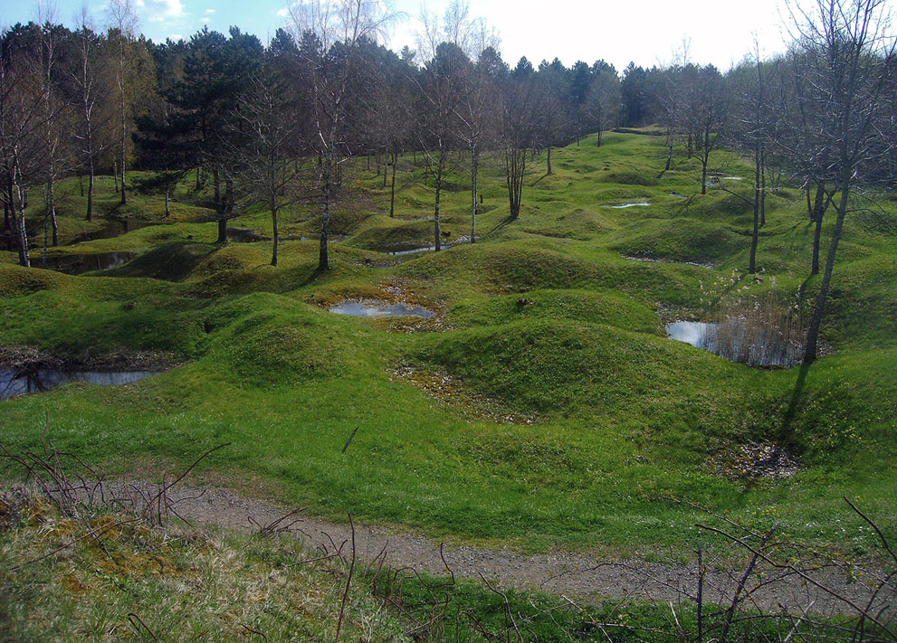 WW1 Crater field Verdun